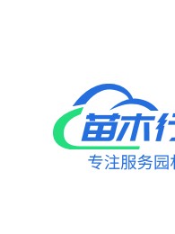 八棱海棠樹 2019春季八棱海棠種子上市批發(fā)