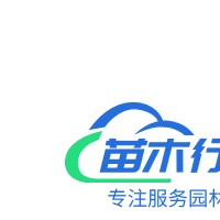 低價出售各種果樹苗、蘋果、梨、桃、柿子、核桃、石榴、花椒、等