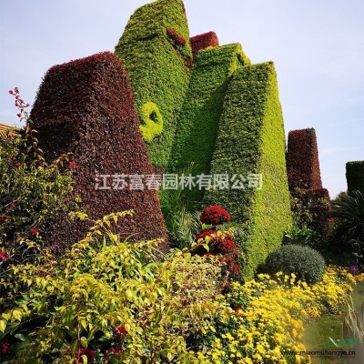 基地出售穗花牡荊 加侖苗 盆苗 別墅小區(qū)觀賞植物苗木 園林工程苗