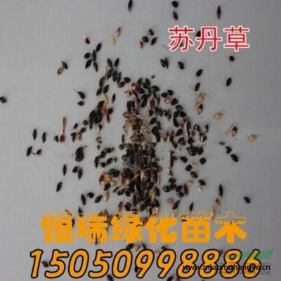 江蘇[產(chǎn)品]/江蘇蘆葦、花葉蘆竹、千屈菜、香蒲、燕尾價(jià)格/報(bào)價(jià)