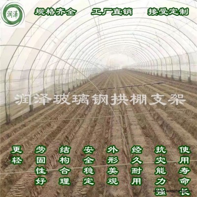 河北潤澤定制大棚桿新型花卉蔬菜育苗棚拱桿地拱桿